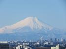 表題用富士山1