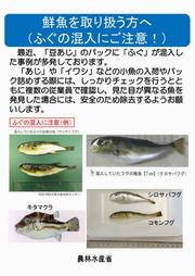 農林水産省 鮮魚を取り扱う方へ(ふぐの混入にご注意！)