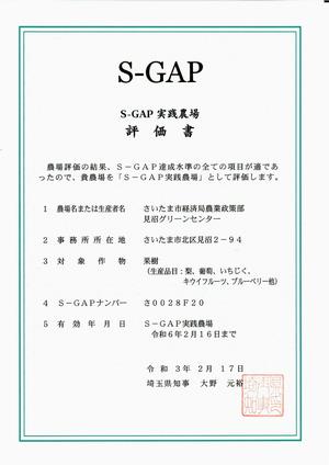 SGAP評価書2