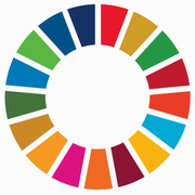 SDGs wheel icon