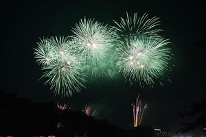 大和田公園の花火大会の写真