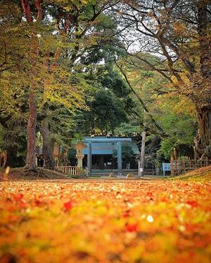 埼玉県護国神社の写真