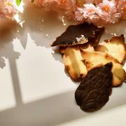 パティスリーポルトボヌール 桜の葉のクッキー