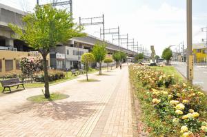 与野本町駅前公園5