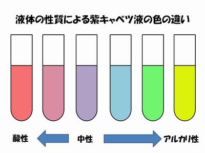 液体の性質の違いによる色の違い