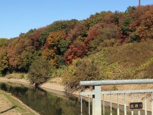 高野橋からの紅葉開始時期の様子