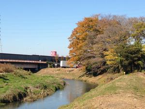 戸井橋からの紅葉開始時期の様子